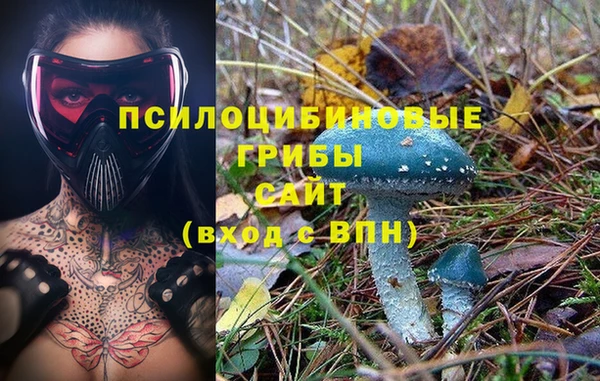 винт Баксан