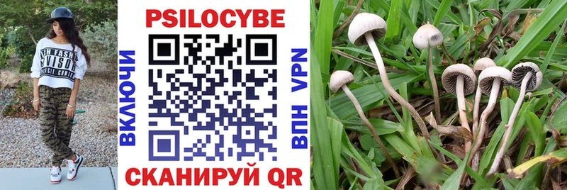 Купить где Высоцк Галлюциногенные грибы MAGIC MUSHROOMS