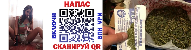 МАРИХУАНА SATIVA & INDICA  Купить где  Высоцк 